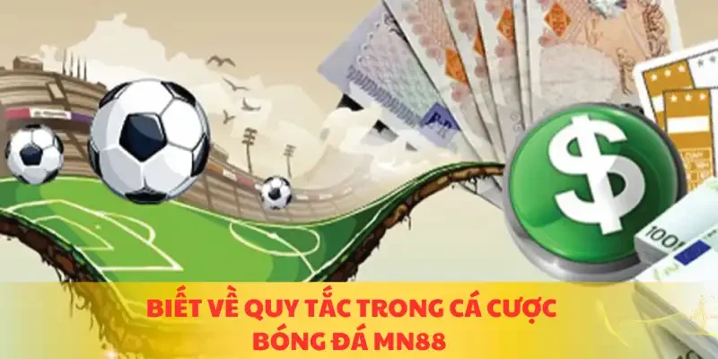 Biết về quy tắc trong cá cược bóng đá MN88 